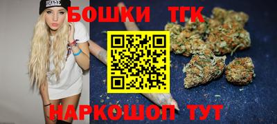 крисы Кандалакша