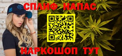 крисы Кандалакша