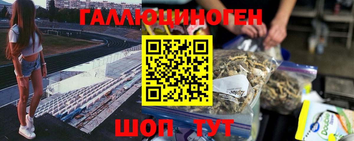 Галлюциногенные грибы мицелий  Галлюциногенные грибы GOLDEN TEACHER  Вход с VPN  Чернушка 