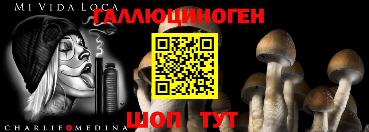 Галлюциногенные грибы мицелий Чернушка